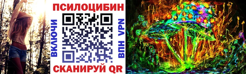 hydra ссылки  Рассказово  Галлюциногенные грибы прущие грибы 